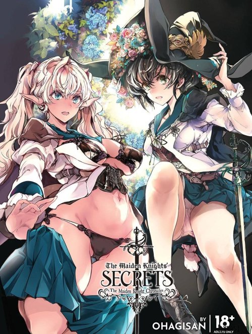 the-maiden-knights-secrets